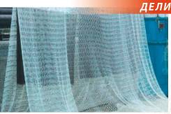 ������������. ��� ����������������. �������� �������� 65� ����