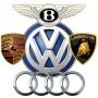VAG196