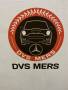 DVSMERS