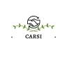 CARSI PRO