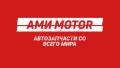AMI-Motor