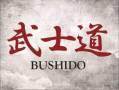 BUSHIDOAUTO