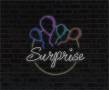 Surprise