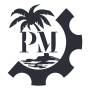 Pal'ma-motors