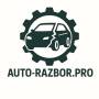autorazborpro