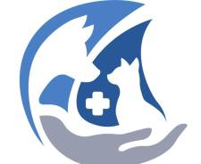 ���� ������������. �� �������� �.�. ����� ������� 5� ����