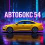 ��������54
