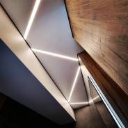 ��������� �������� ��������. �� �������� �. �. ����� ��������� 22 ����