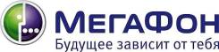 Ревизор. ОАО "МегаФон Ритейл"