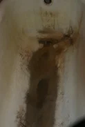 ������, Super-���������� ����. ��������� �������. ������ � ���� ����