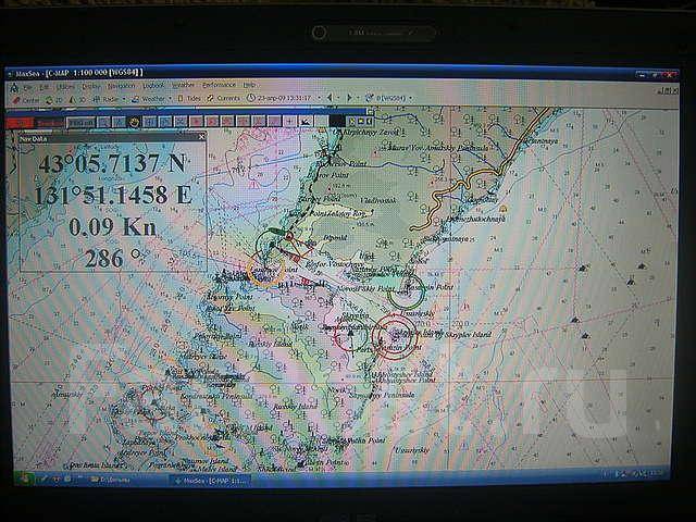 maxsea 10.1.3.2
