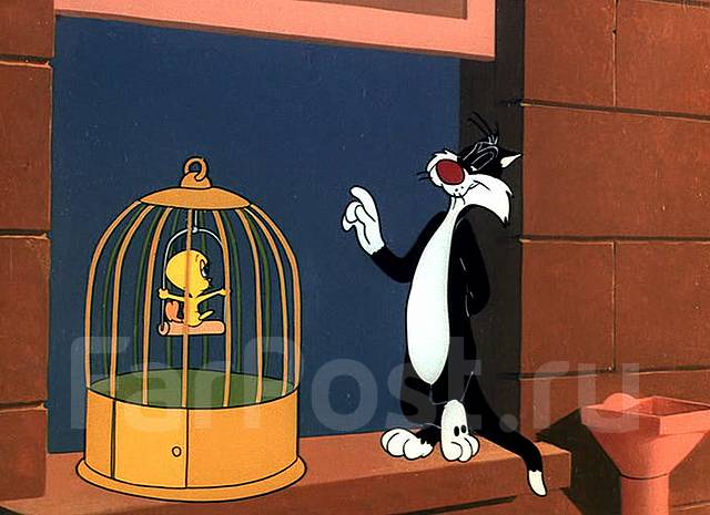 Жасырын камера монша душ саунасы