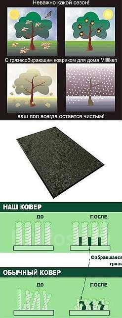     ( ) 