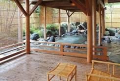 ����� � ������ �� ���� ��������� � �������� ����� (����). ����