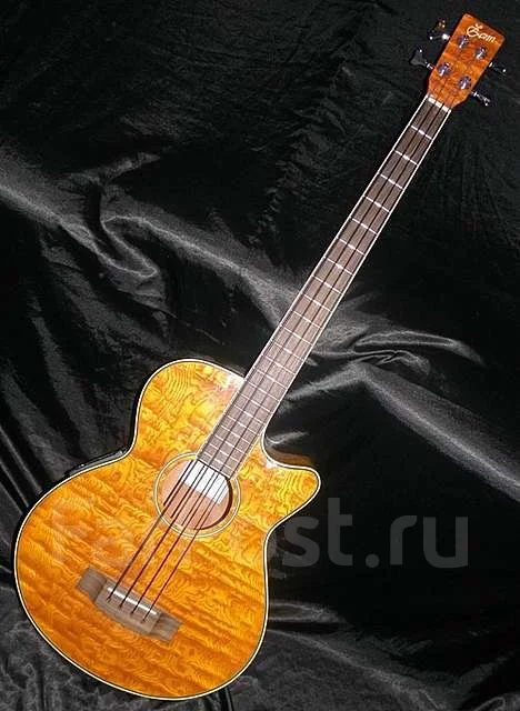 ������������ ������ � ��� Yamaha APX; Fender; Zenn; Aria FA ����