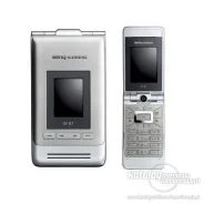 BenQ-Siemens EF81. �/� ����
