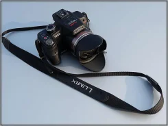Panasonic Lumix DMC-FZ100. 10 - 14.9 ��, ���: 14� � �����
