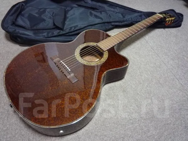 ������������ ������ � ��� Yamaha APX; Fender; Zenn; Aria FA ����