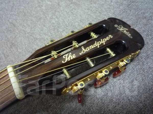 ������������ ������ � ��� Yamaha APX; Fender; Zenn; Aria FA ����