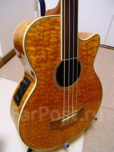 ������������ ������ � ��� Yamaha APX; Fender; Zenn; Aria FA ����