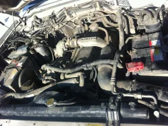 Nissan Safari. �������, 4wd, 4.2, ������ ����