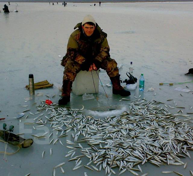 На что ловят зимой