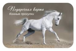 Конная прогулка.
