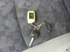 Nissan Bassara. �������, ��������, 2.4, ������ ����