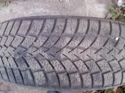 Nokian W. ������, ��� �����, 2011 ���, 10�%