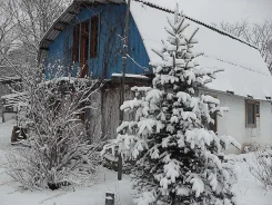 Новогодние Каникулы В Приморском Крае