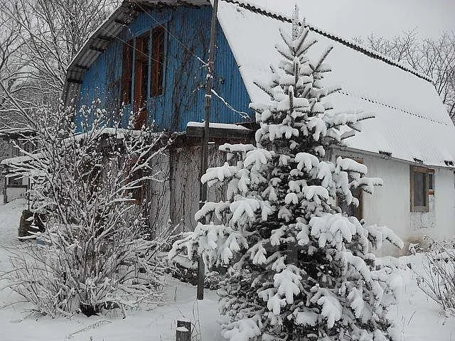 Новогодние Каникулы 2012
