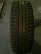 Bridgestone Blizzak Nordic WN-01. ������, ����������, 50�%