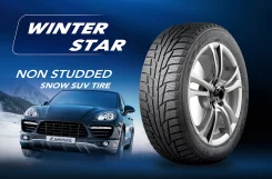 Landsail Winter Lander. ������, 2013 ���, ��� ������