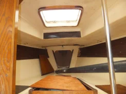 ������ ���� �����- ������ 25. 1988 ��� ����