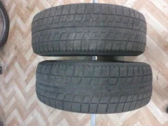 Bridgestone Blizzak Nordic. ������, ��� ����, 70�%