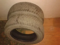 Medeo All season. �����������, 2010 ���, 20�%