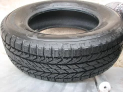 BFGoodrich Winter Slalom. ������, ��� �����, �/�, ����� 20�% ����