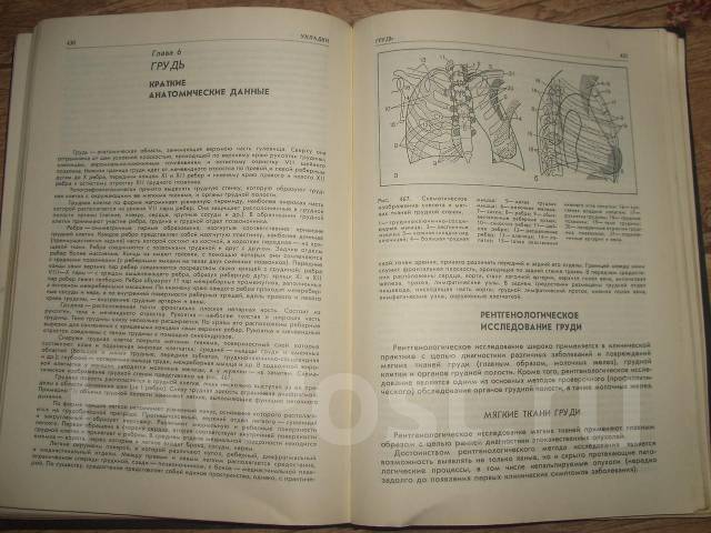 Атлас Укладок При Рентгенологических Исследованиях. Кишковский.