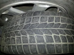 Dunlop Landsman. ������, ��� �����, 2006 ���, 50�%