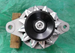 ��������� �������� ������ 4�30 - 4�31 24v A5T70183 ����