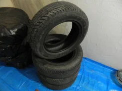 Mayrun MR800. ������, 2009 ���, 40�%