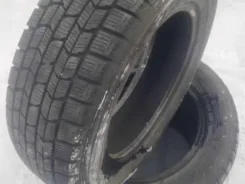 Dunlop SP 39. ������, ��� �����, �����