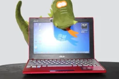 ASUS Eee PC 1025CE. 133����, ��� 2048 ��, ���� 500���, WiFi: 1, Bluetooth: 1, ����������� �� 12��. ����