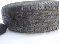 Toyo Tranpath A14. ������, 20�%, 1 ��