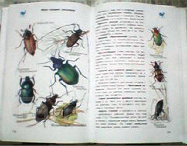школьный атлас определитель жуков