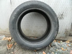Bridgestone Blizzak LM-50. �����������, �����