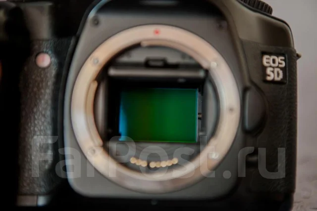 Canon EOS 5D Body ����