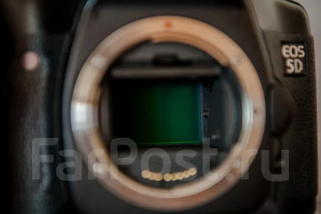 Canon EOS 5D Body ����