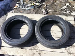 Goodyear Eagle RS-A2. ������, 2005 ���, ����� ����