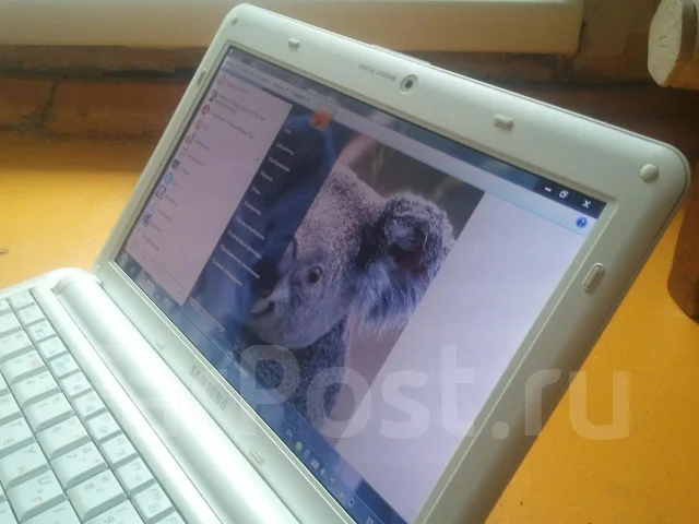 Samsung N130. 1,6����, ��� 1024 ��, ���� 160���, WiFi: 1, Bluetooth: 1 ����